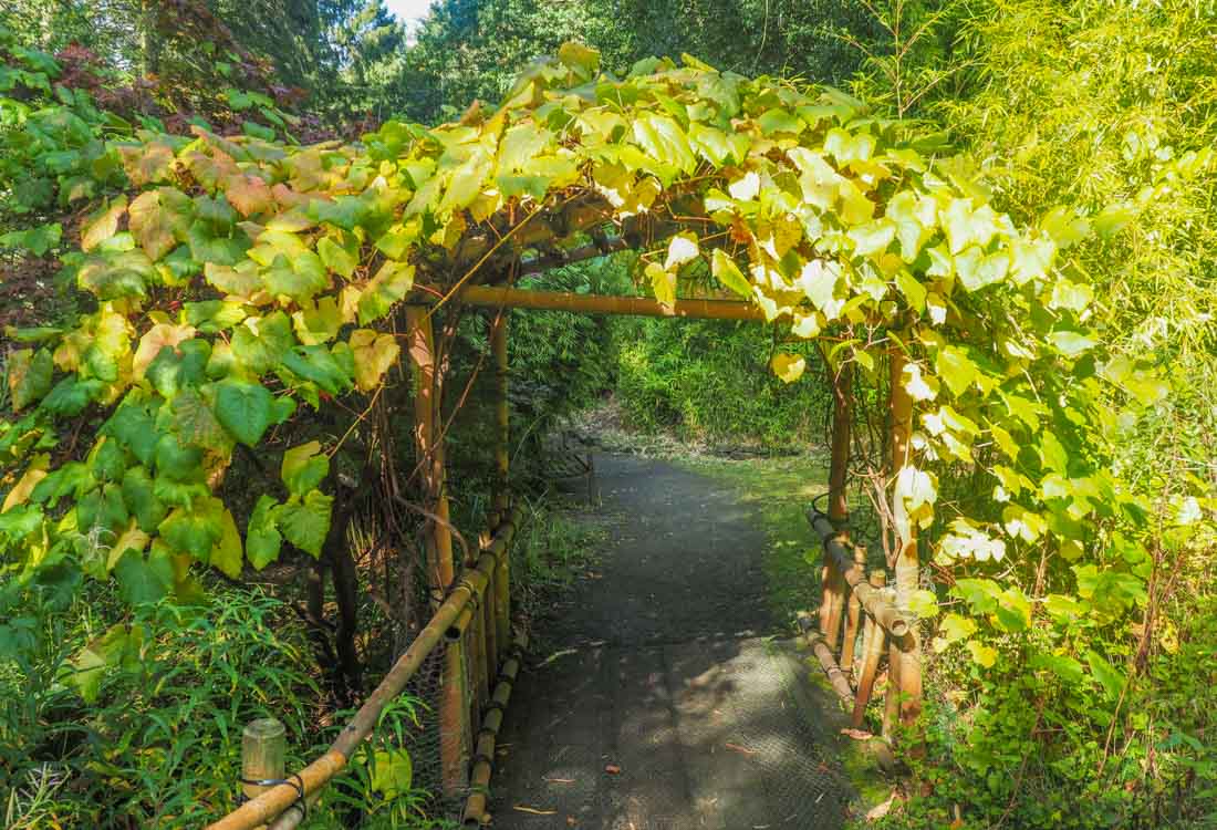 Arch in the Botanic Garden Durham