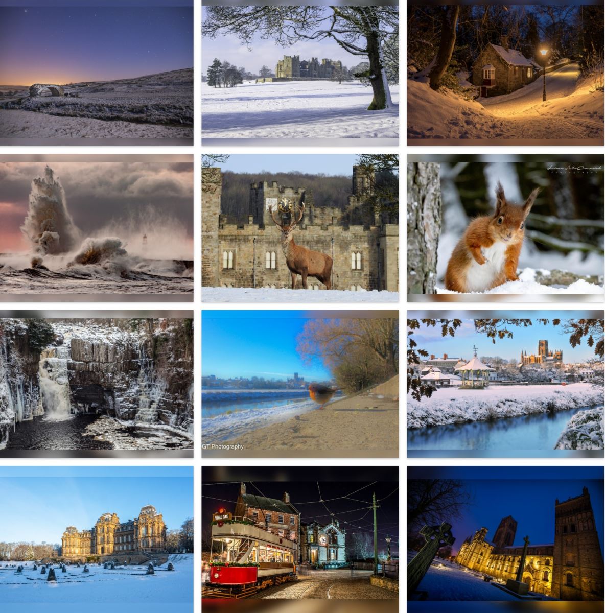 Image of all the ecards