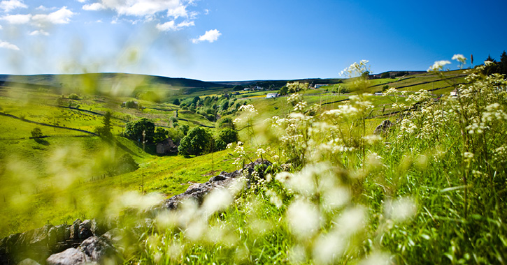 The Durham Dales