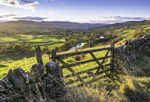 Gate in the Durham Dales
