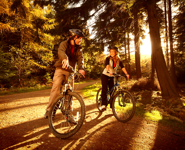 Hamsterley Forest top north east england mountain biking destination