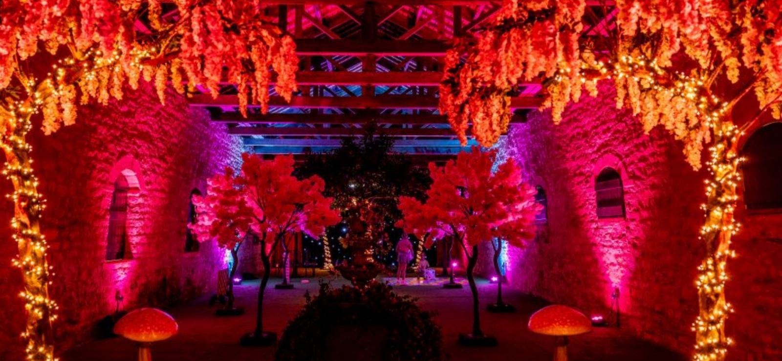 A garden all lit up