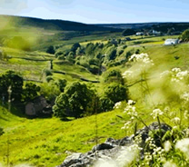 Durham Dales