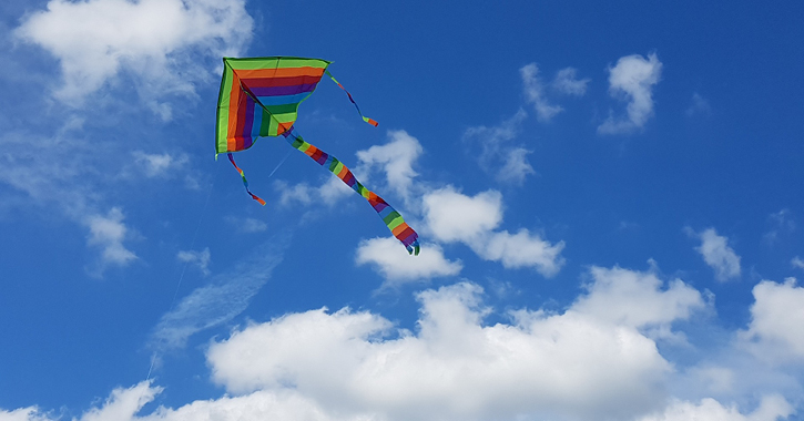 Balloons inDurham kite flying