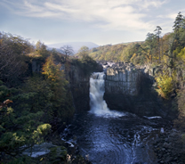 Low Force