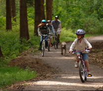 Hamsterley Forest