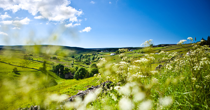 Durham Dales