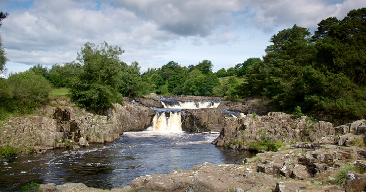 Low Force