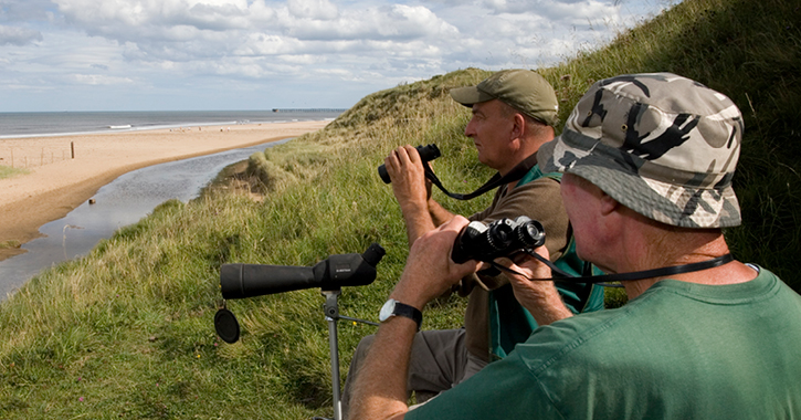 Bird Watching along the Durham Heritage Coast