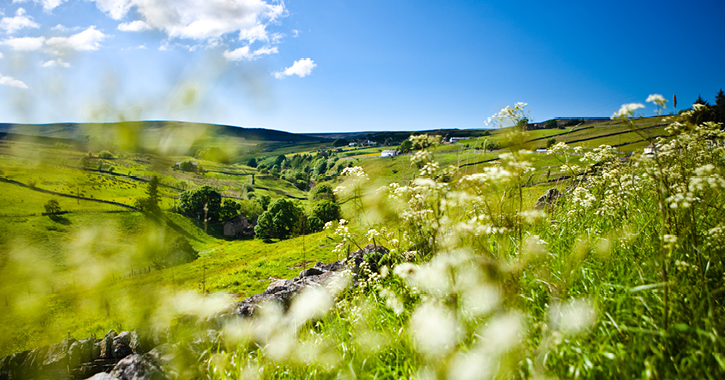 The Durham Dales