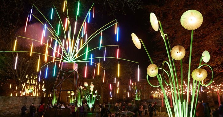 Garden of Light by TILT at Lumiere Durham,2015. 