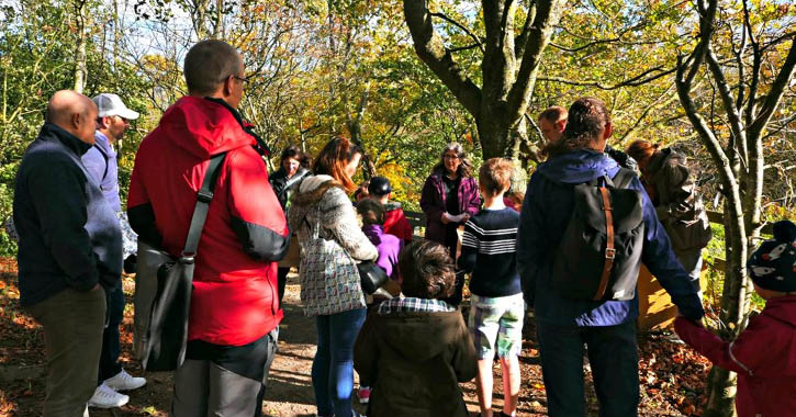 The Bowlees Visitor Centre