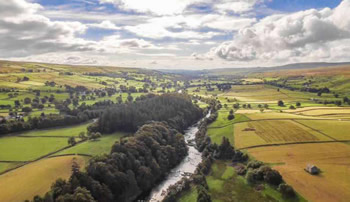 River Tees