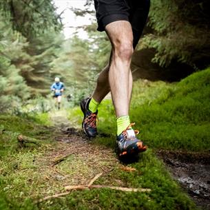 See the source image