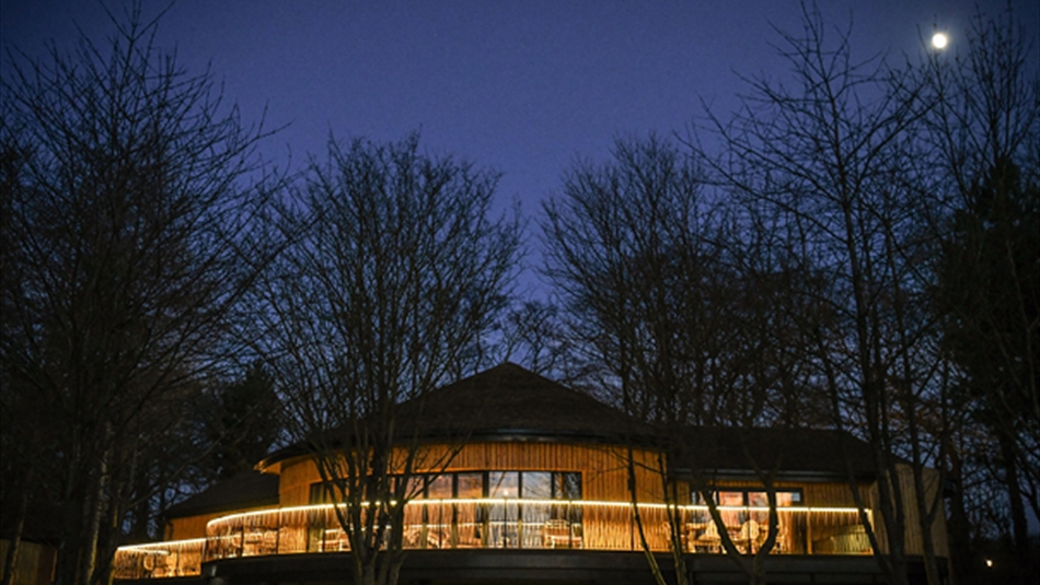 ionic bond speed dating