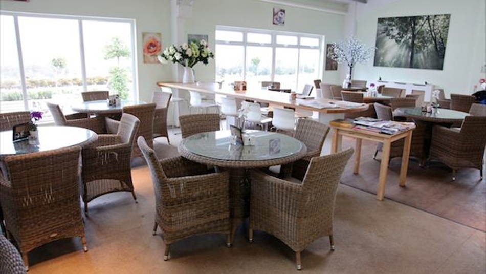 The Greenhouse Restaurant Lanchester This is Durham