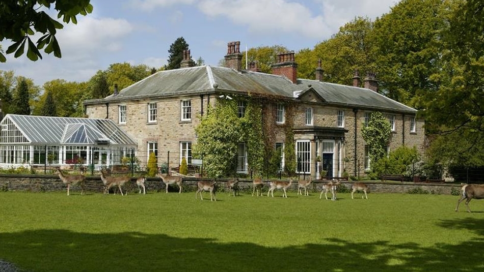 Whitworth Hall Country Park Country / Royal Park in Spennymoor