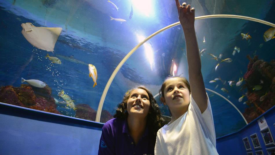 What Do Fish See? - Tynemouth Aquarium