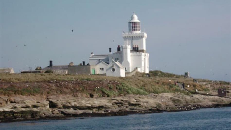 Coquet Island