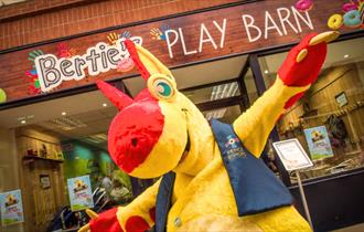 Bertie's Play Barn at Prince Bishops Place
