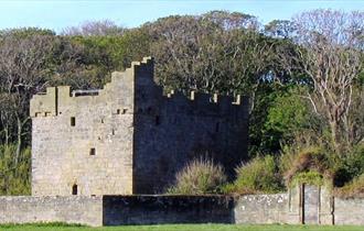 Exterior image of Cresswell Tower on a sunny day.