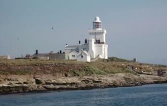 Coquet Island