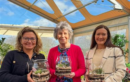 Terrarium Workshop