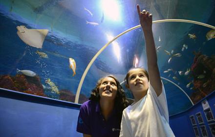 Tynemouth Aquarium