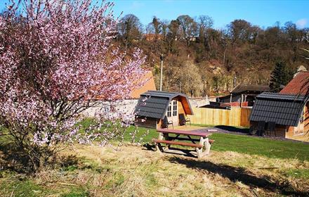 Finchale Abbey Camping Pods Durham