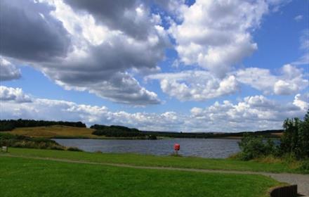 Queen Elizabeth II Jubilee Country Park & Nature Reserve