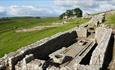 Image of Housesteads Roman Fort and rolling hills in the background. English Heritage.