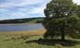 Derwent Reservoir view