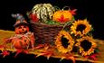 wharton park halloween events