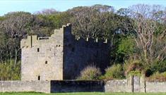 Exterior image of Cresswell Tower on a sunny day.