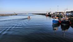 Amble Harbour & Marina