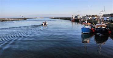 Amble Marina