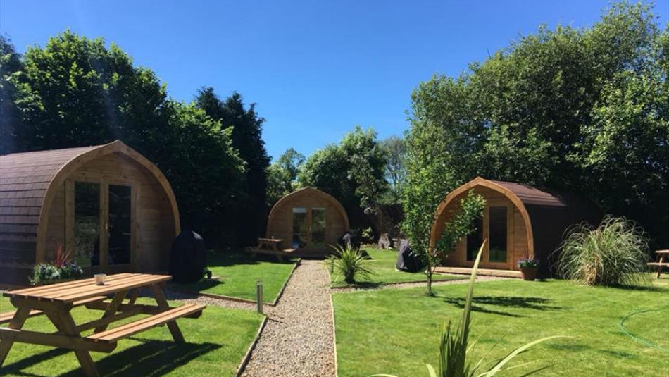 3 glamping pods in a field