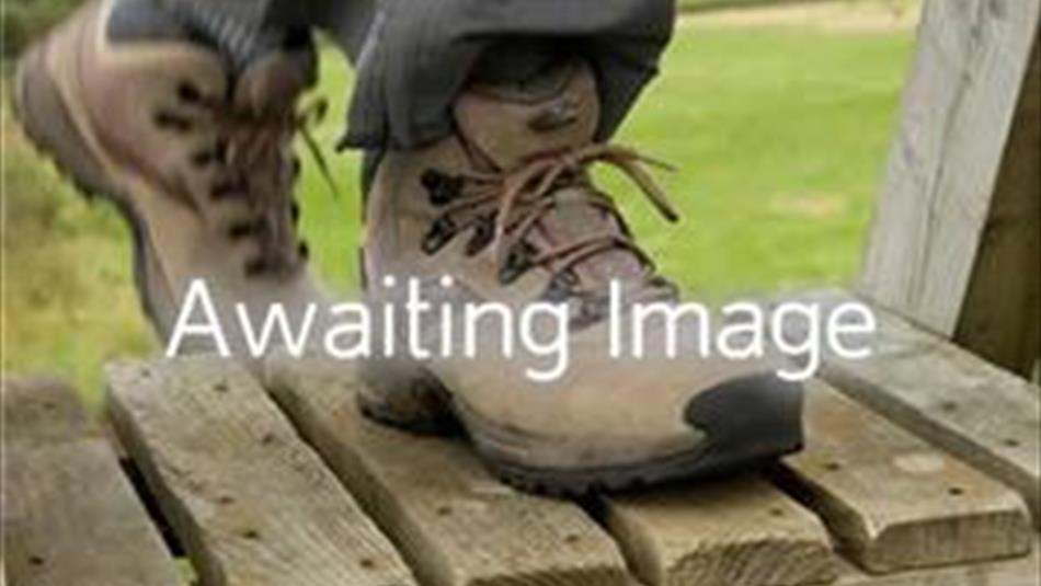 Image of walking boots