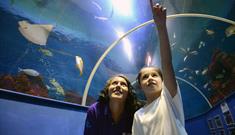 Tynemouth Aquarium